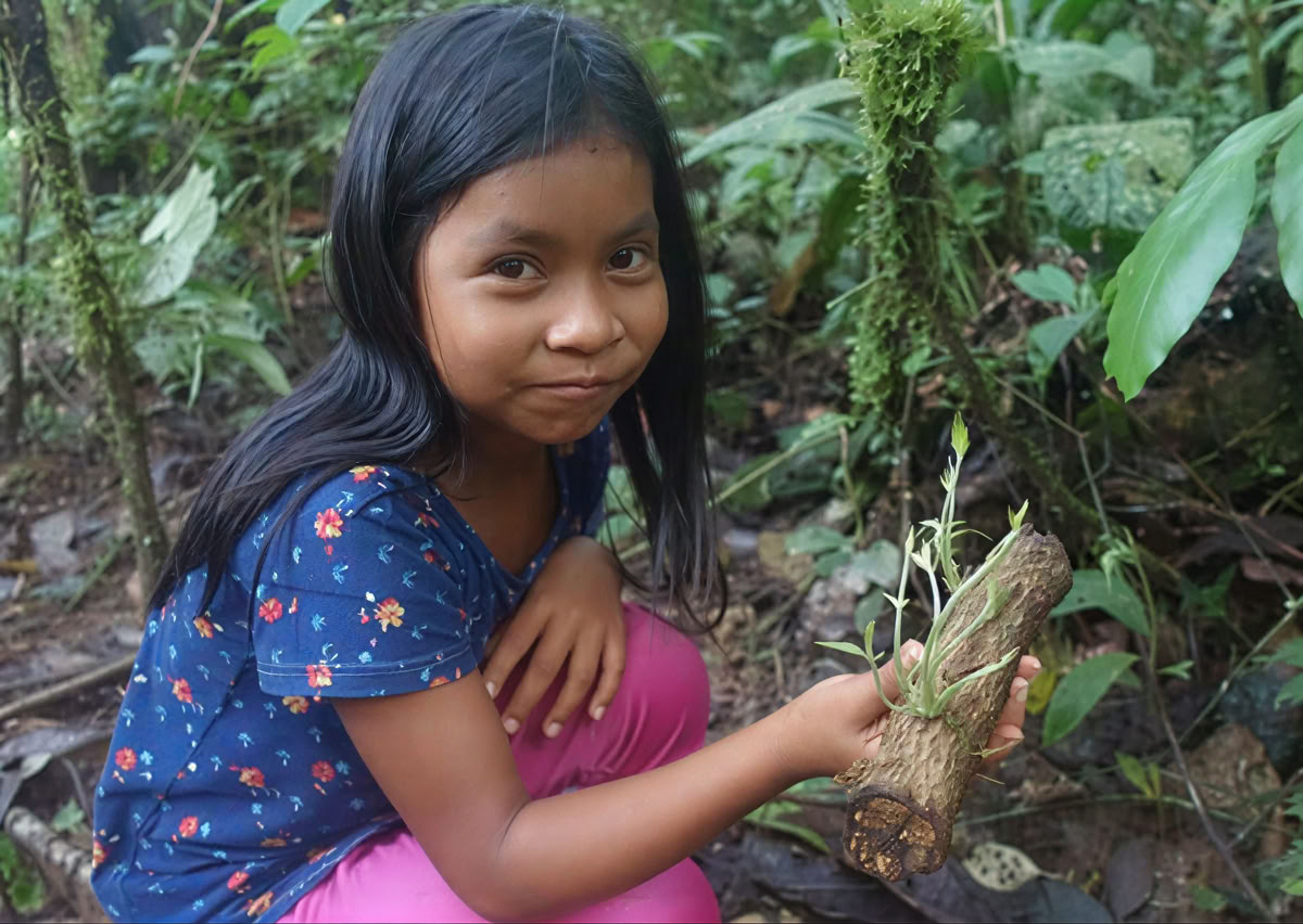 Ritiro di Ayahuasca di 5 giorni in Ecuador