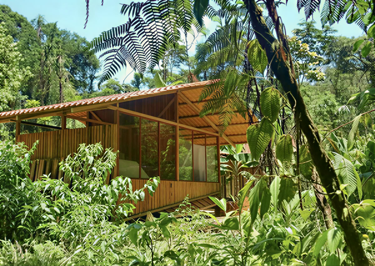 Ritiro di Ayahuasca di 5 giorni in Ecuador