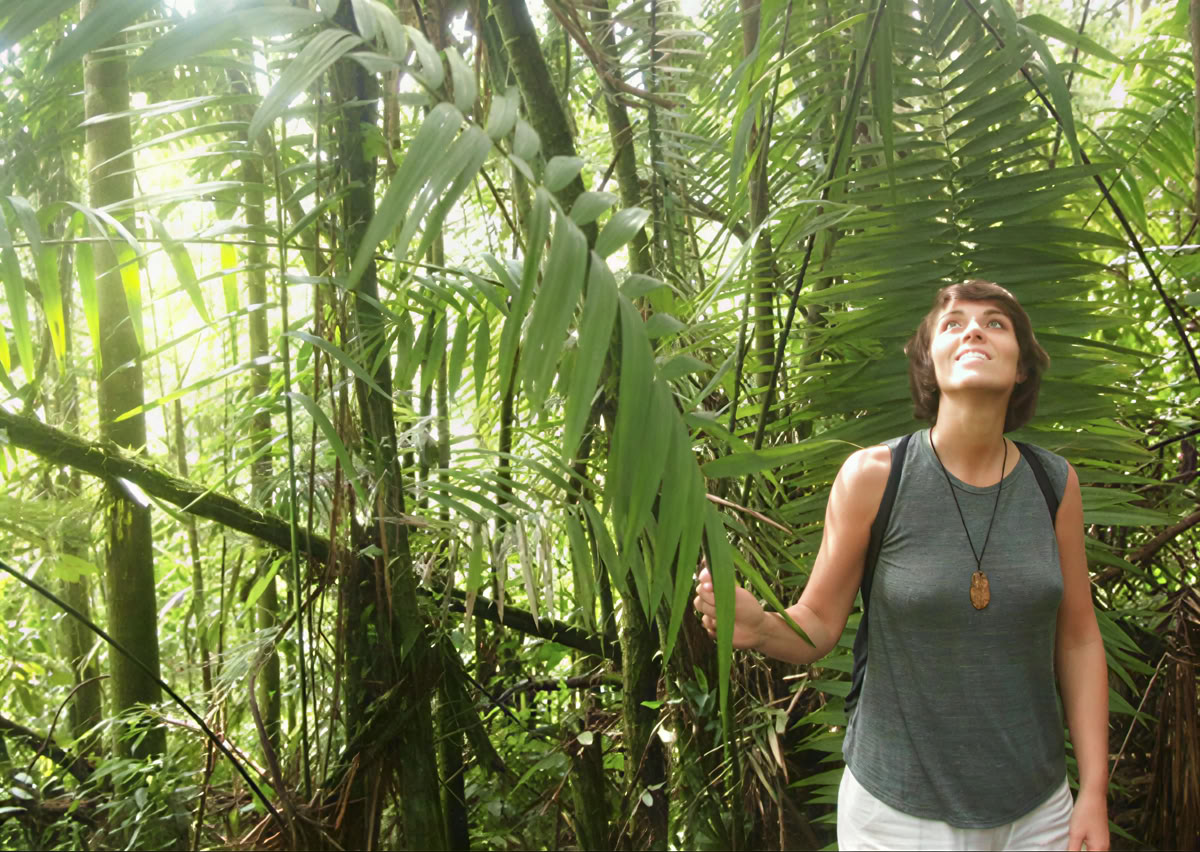 Ritiro di Ayahuasca di 5 giorni in Ecuador