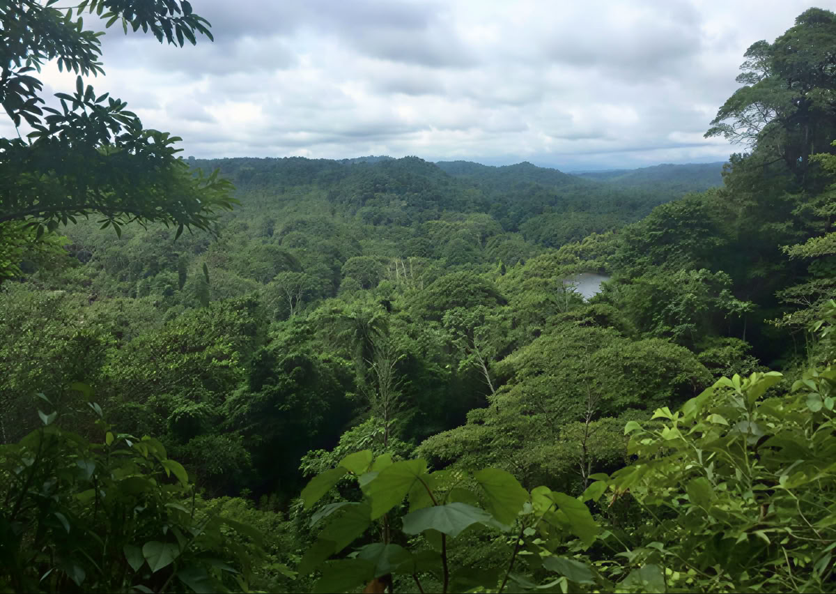 Cerimonia di Ayahuasca in Ecuador