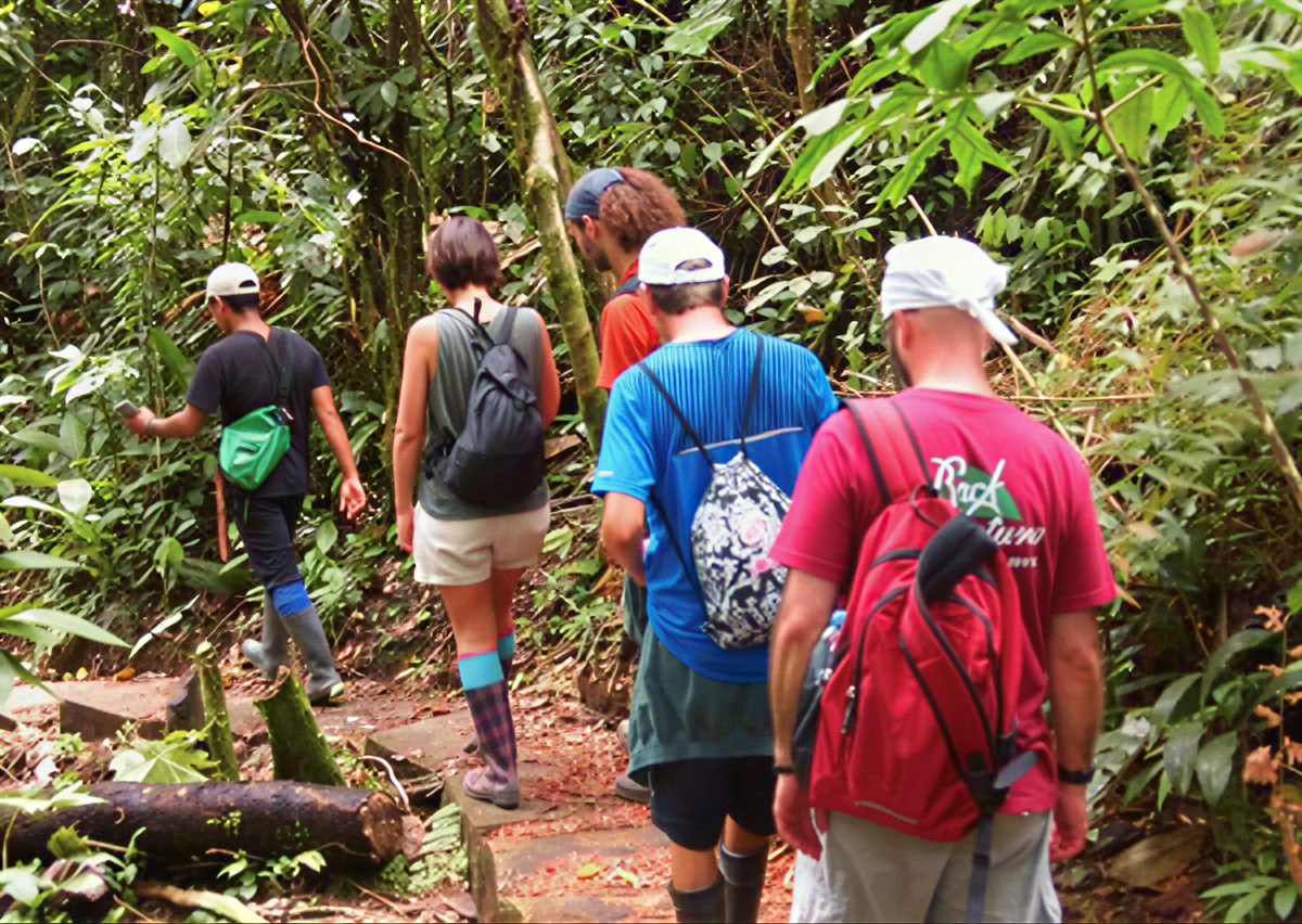 Cerimonia di Ayahuasca in Ecuador