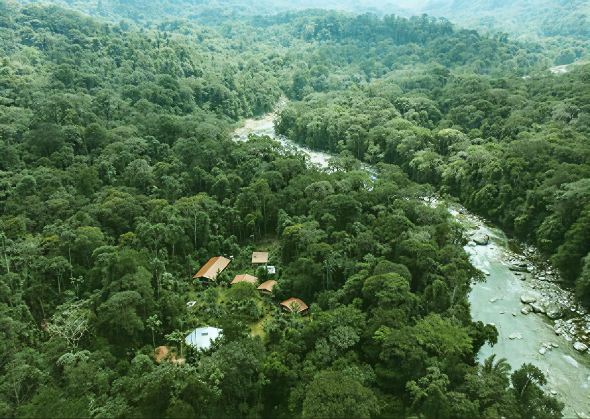 Cerimonia di Ayahuasca in Ecuador