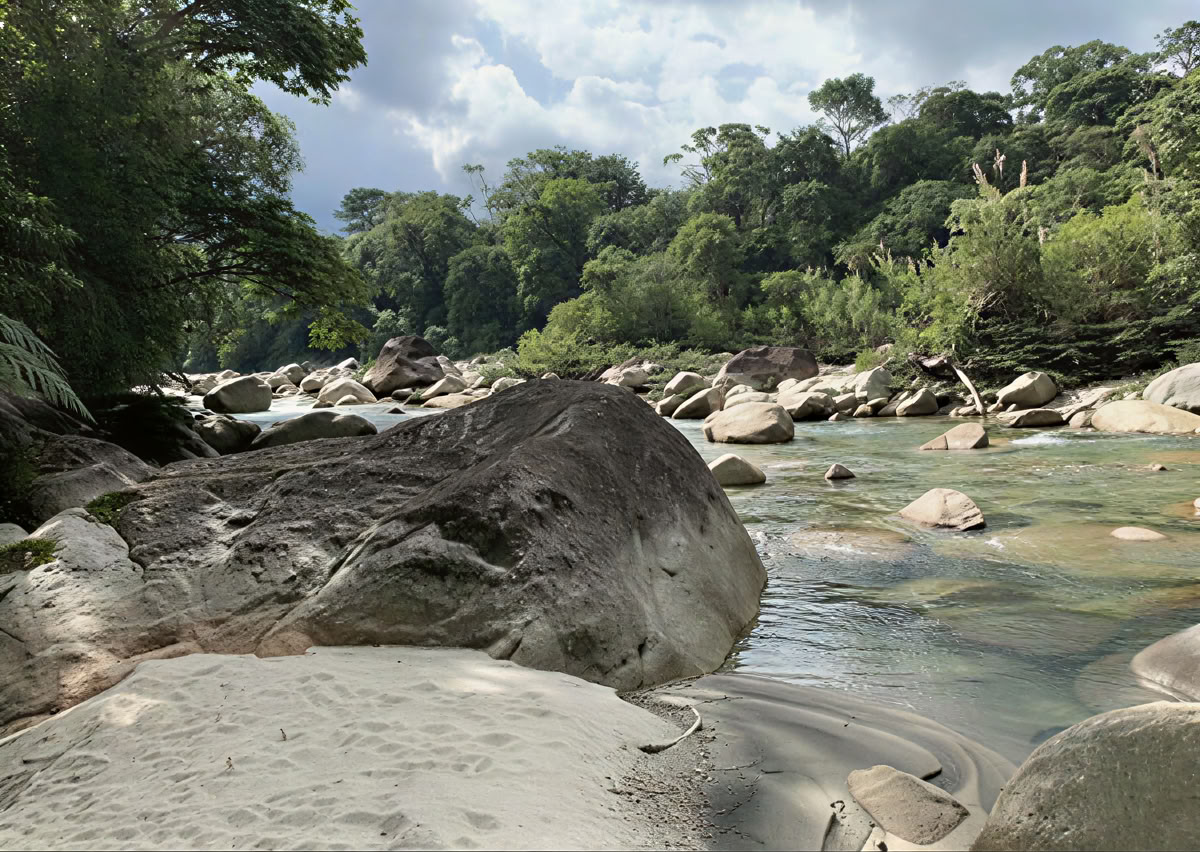 Cerimonia di Ayahuasca in Ecuador