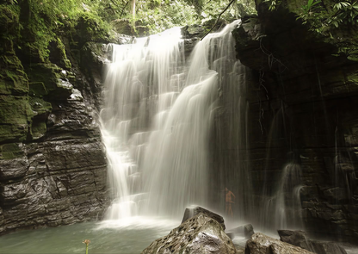 Cerimonia di Ayahuasca in Ecuador