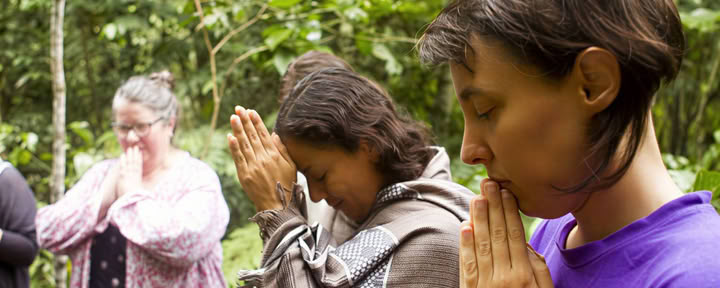 14 Giorni – Dieta di Ayahuasca e Piante Maestre per Donne