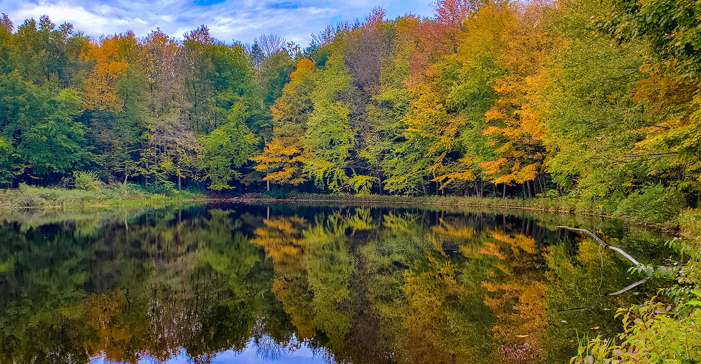 Harvest Moon Festival a Sunset Pond