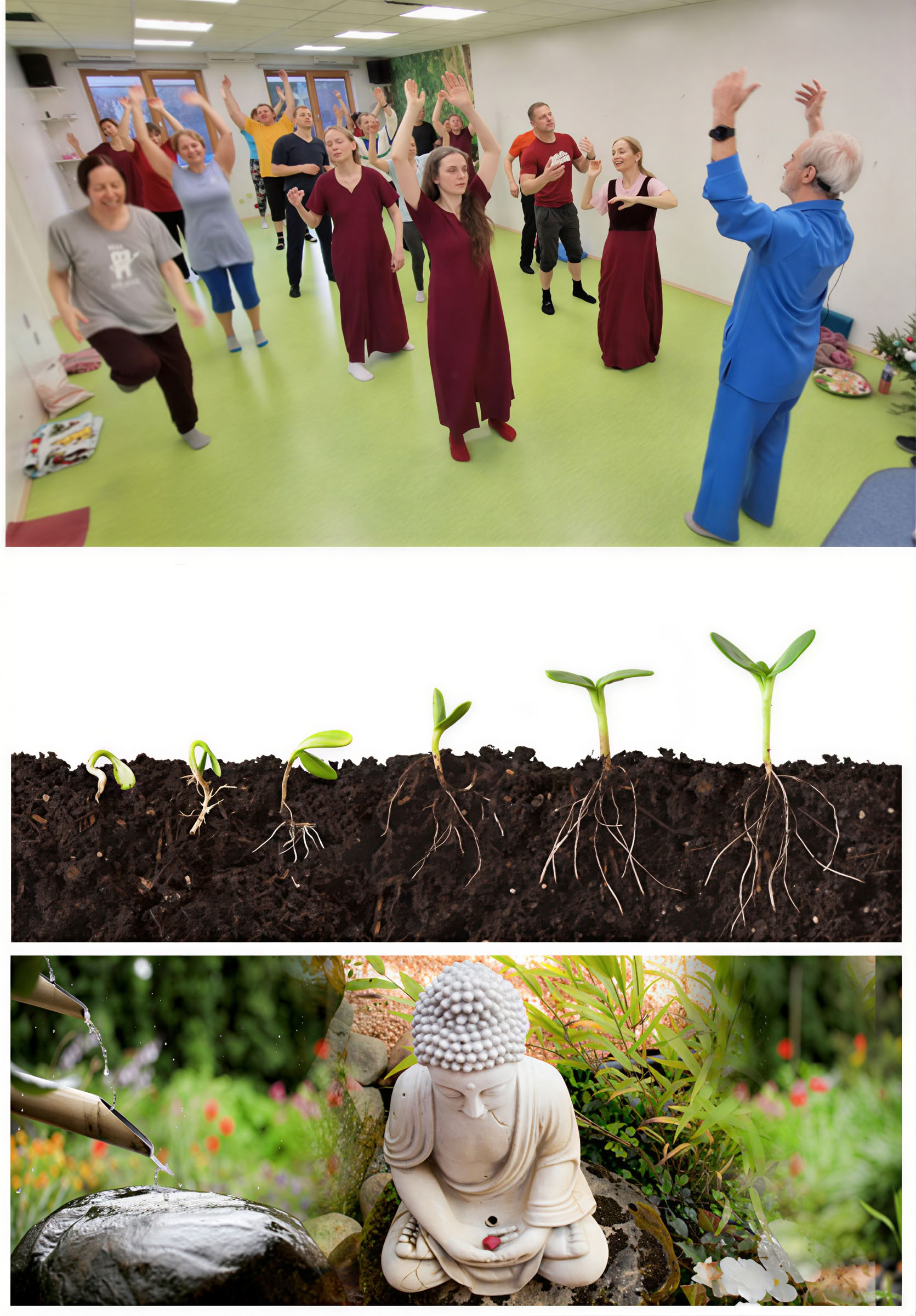 Scuola di meditazione – 7. Dai sensi, dalle emozioni e dal pensiero al fluire