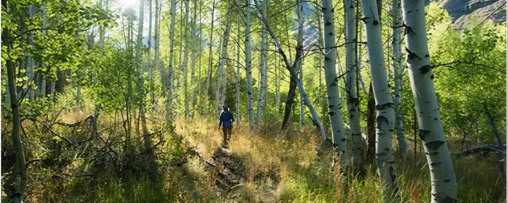 Heart of the Mountain Sesshin: Un Sesshin in zaino al Bells Mountain Dharma Center