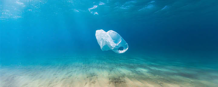 Oceans of Compassion: Un Ritiro Al Servizio Della Terra