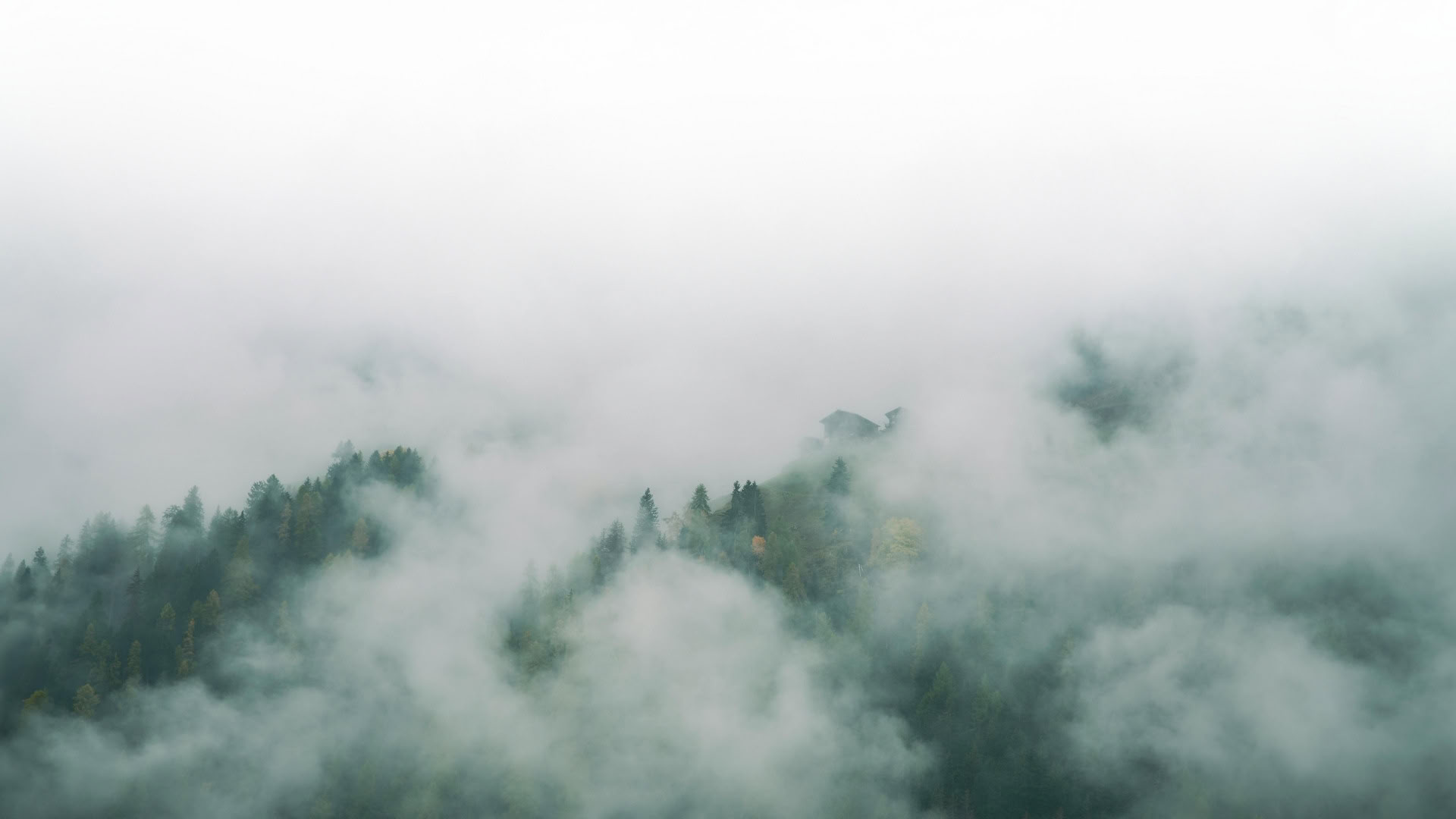 Giovedì Seduta in Silenzio