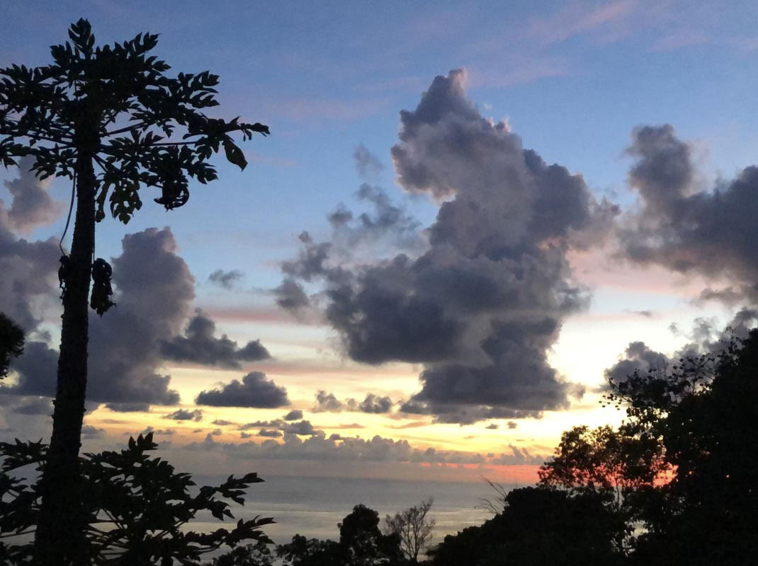 InwardBound Ritiro Privato con Psilocibina: 4 giorni, 2 sessioni di psilocibina - Paesi Bassi/Costa Rica