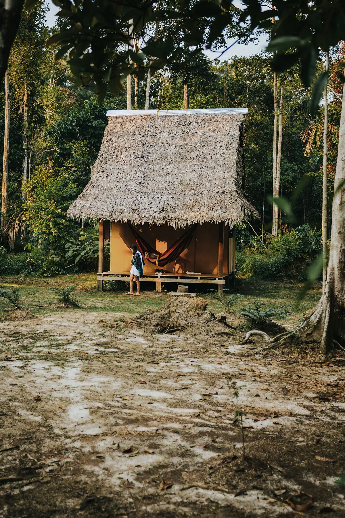 Ritiro Ayahuasca della Trasformazione
