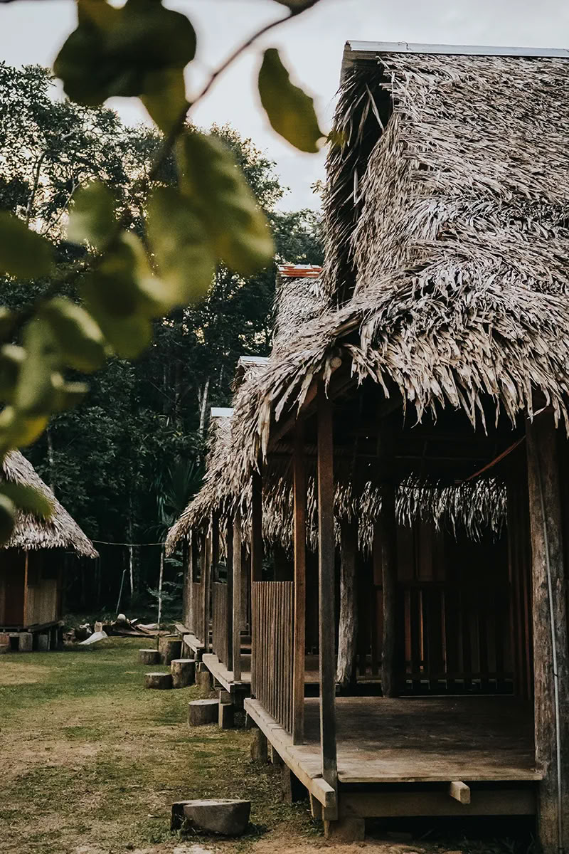 Ritiro Ayahuasca della Trasformazione
