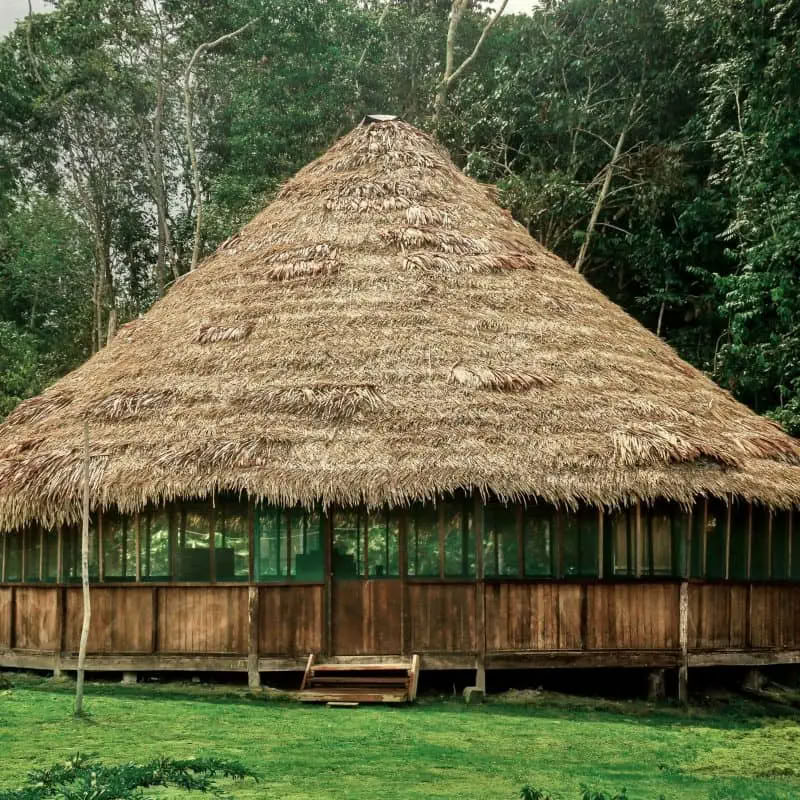 Ritiro Ayahuasca della Trasformazione