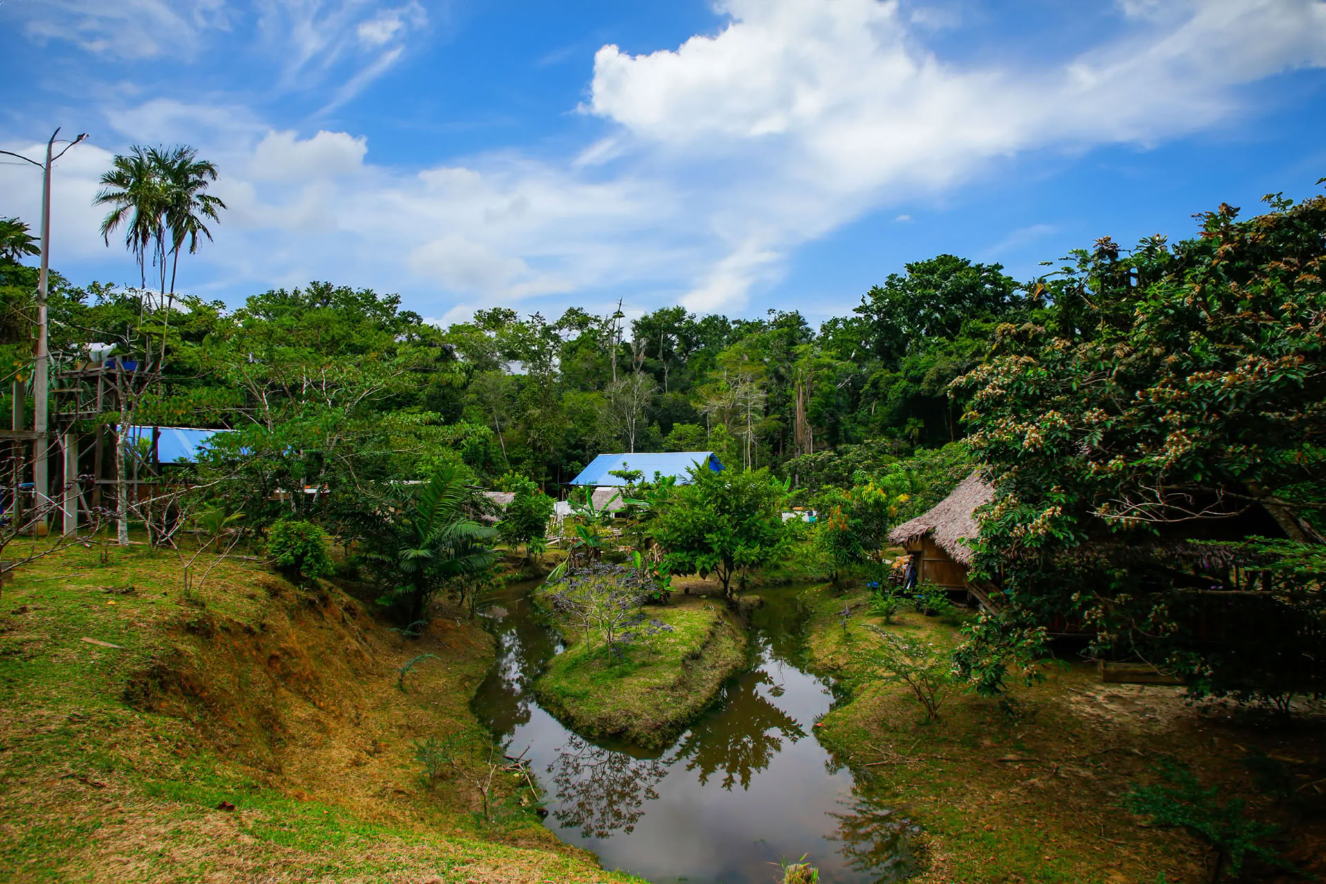 Ritiro Ayahuasca della Trasformazione