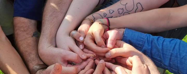 Ritiro privato di gruppo di 3 giorni con psilocibina in Olanda per psicologi e psicoterapeuti