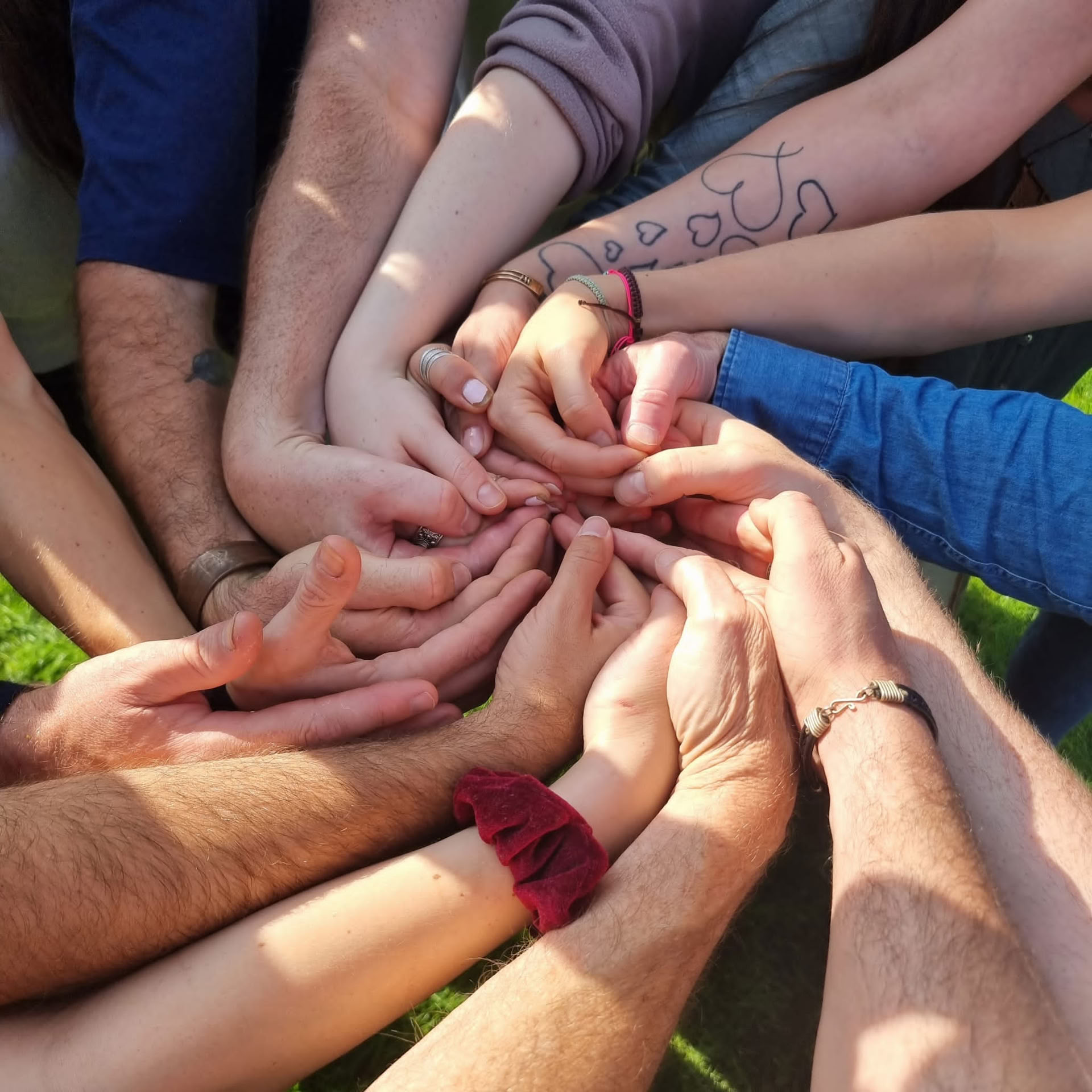 Inwardbound ritiro di gruppo di 5 giorni con psilocibina nei Paesi Bassi per CEO