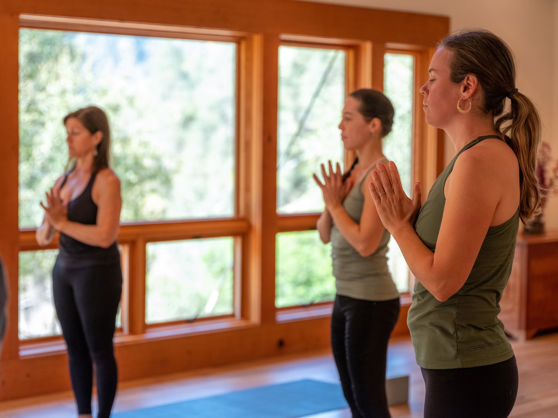 Roots of Resilience: Yoga & Il lavoro che riconnette