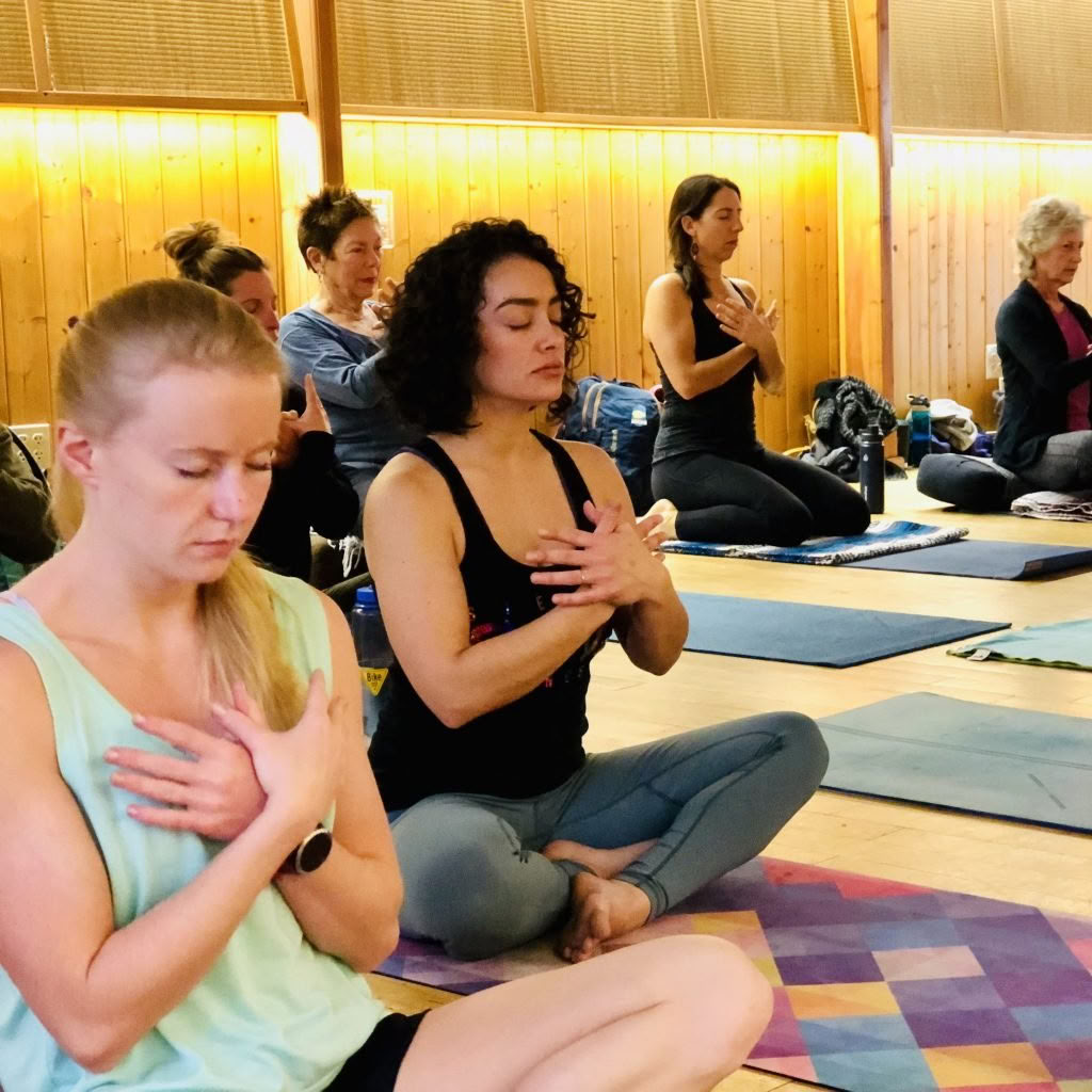 22° Yoga Jambalaya Annual