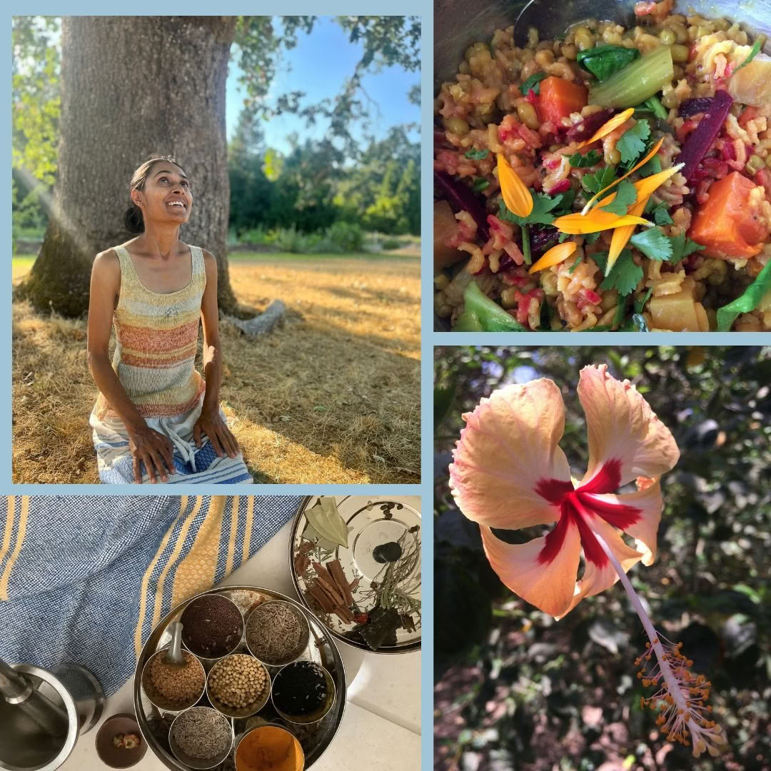 22° Yoga Jambalaya Annual