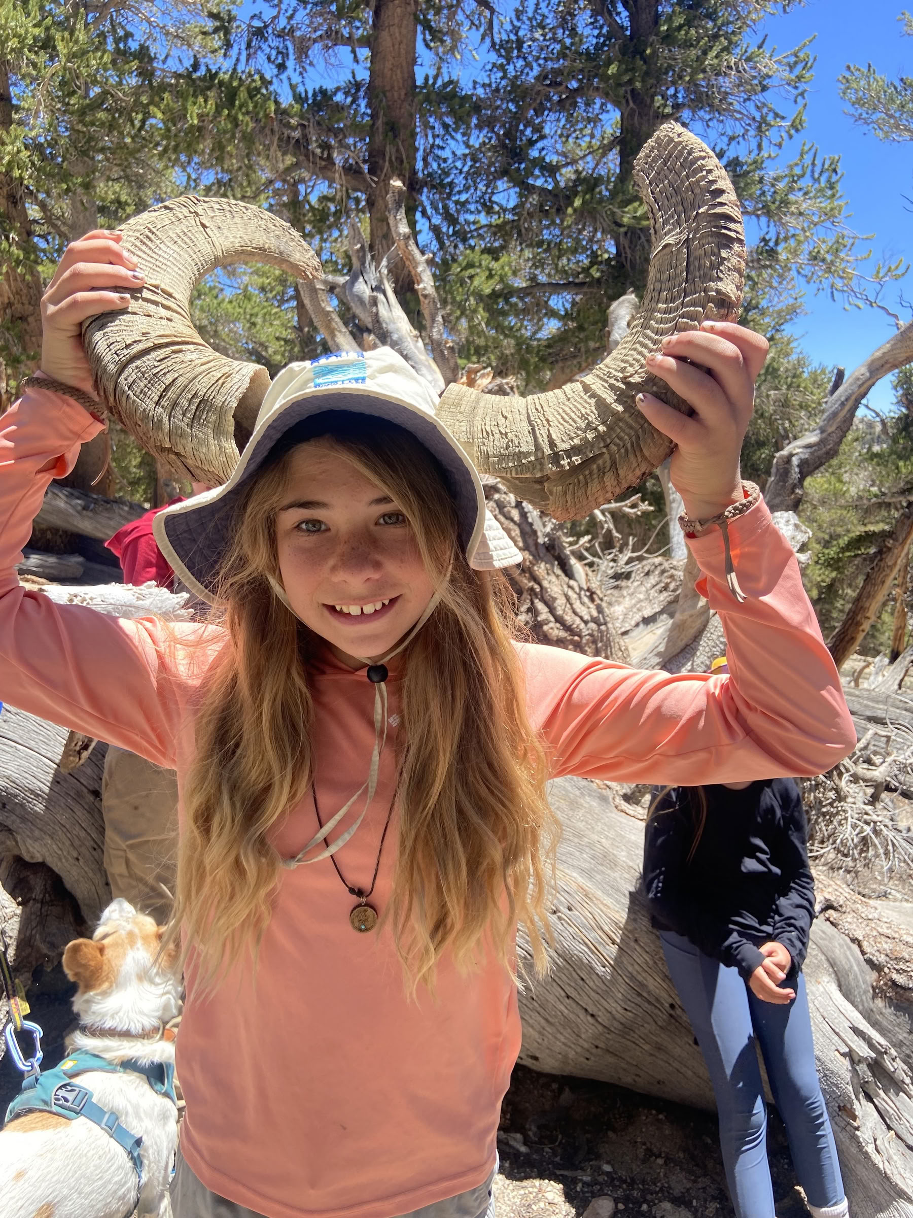 Youth Engaged in Transformational Inquiry : 6-Day Campo nel Wilderness