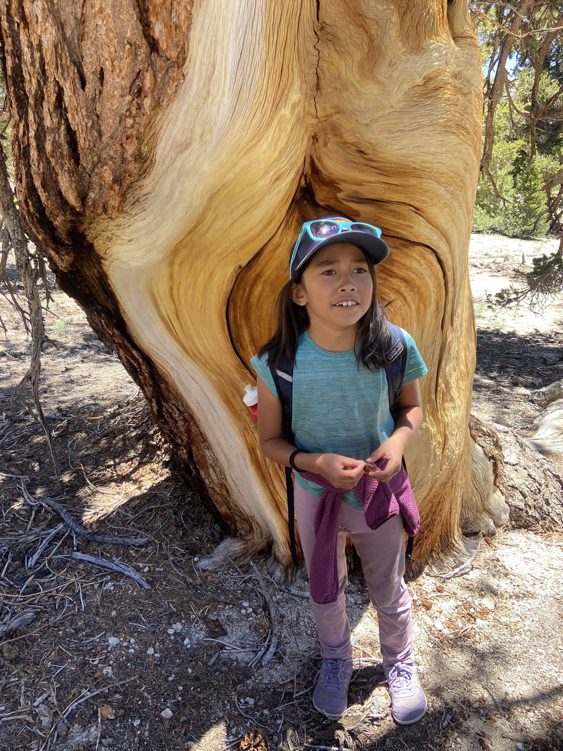 Youth Engaged in Transformational Inquiry : 6-Day Campo nel Wilderness