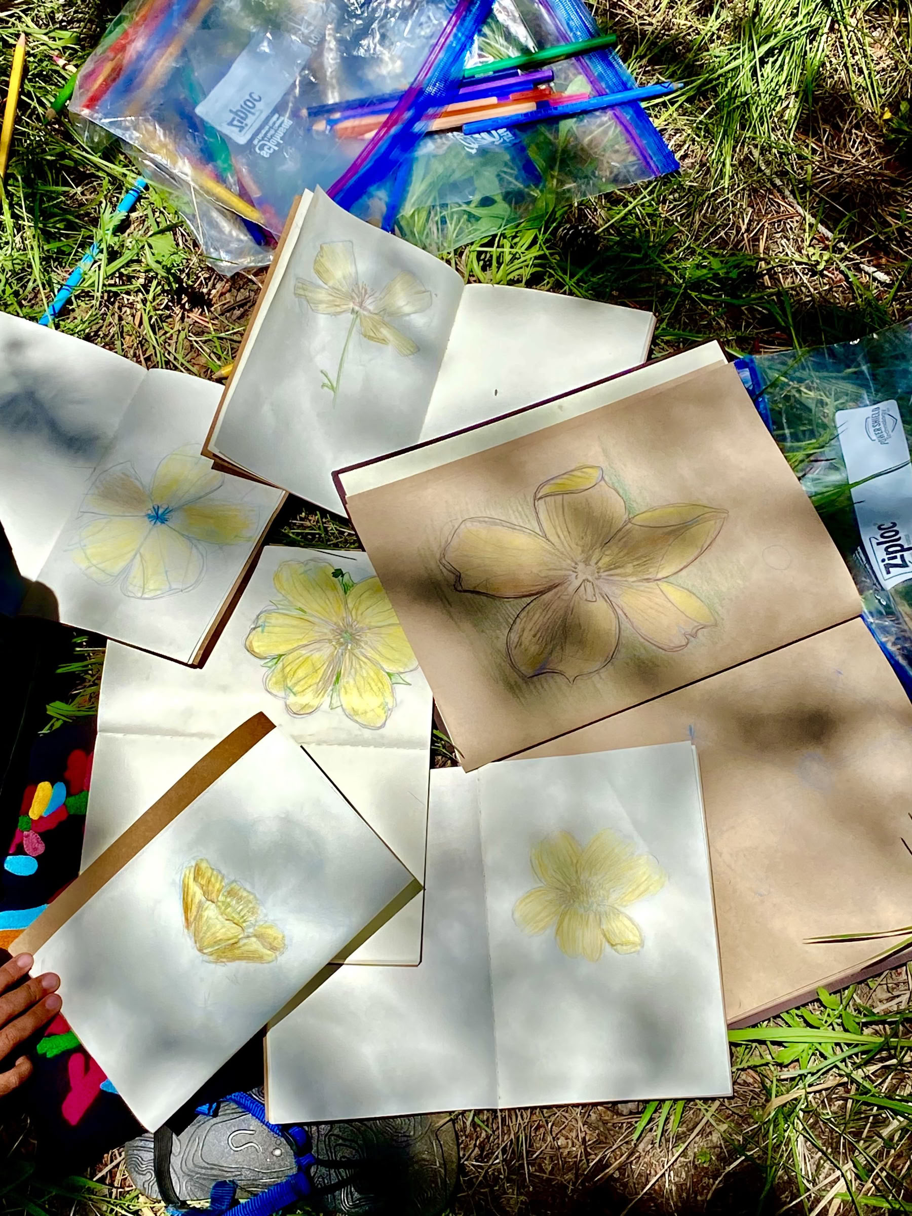Youth Engaged in Transformational Inquiry : 6-Day Campo nel Wilderness