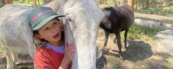 Youth Engaged in Transformational Inquiry : 6-Day Campo nel Wilderness