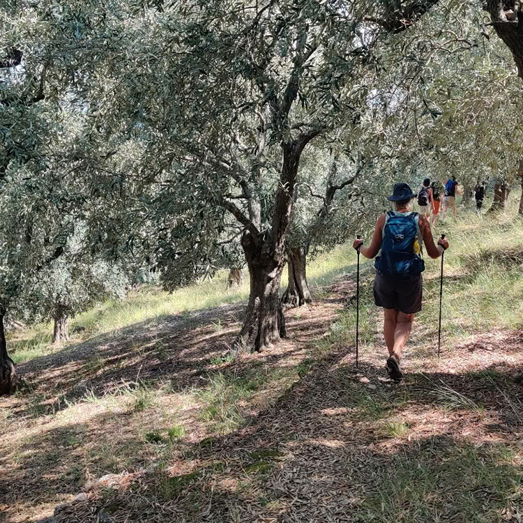 Vacanza con passeggiate e nuotate guidate