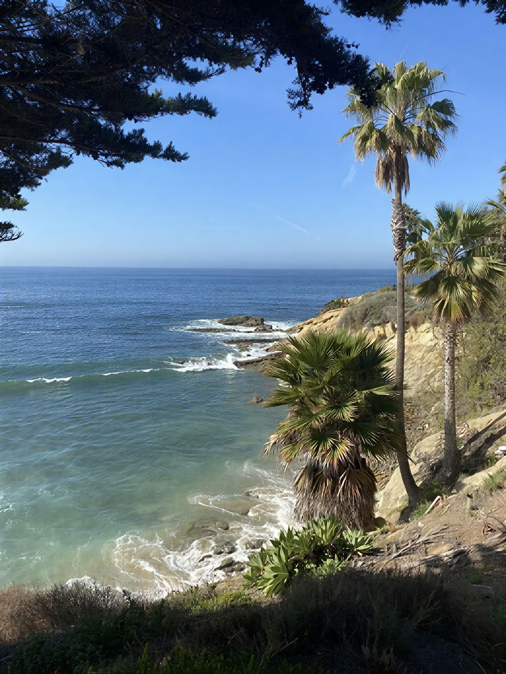 Risvegliati e Brilla