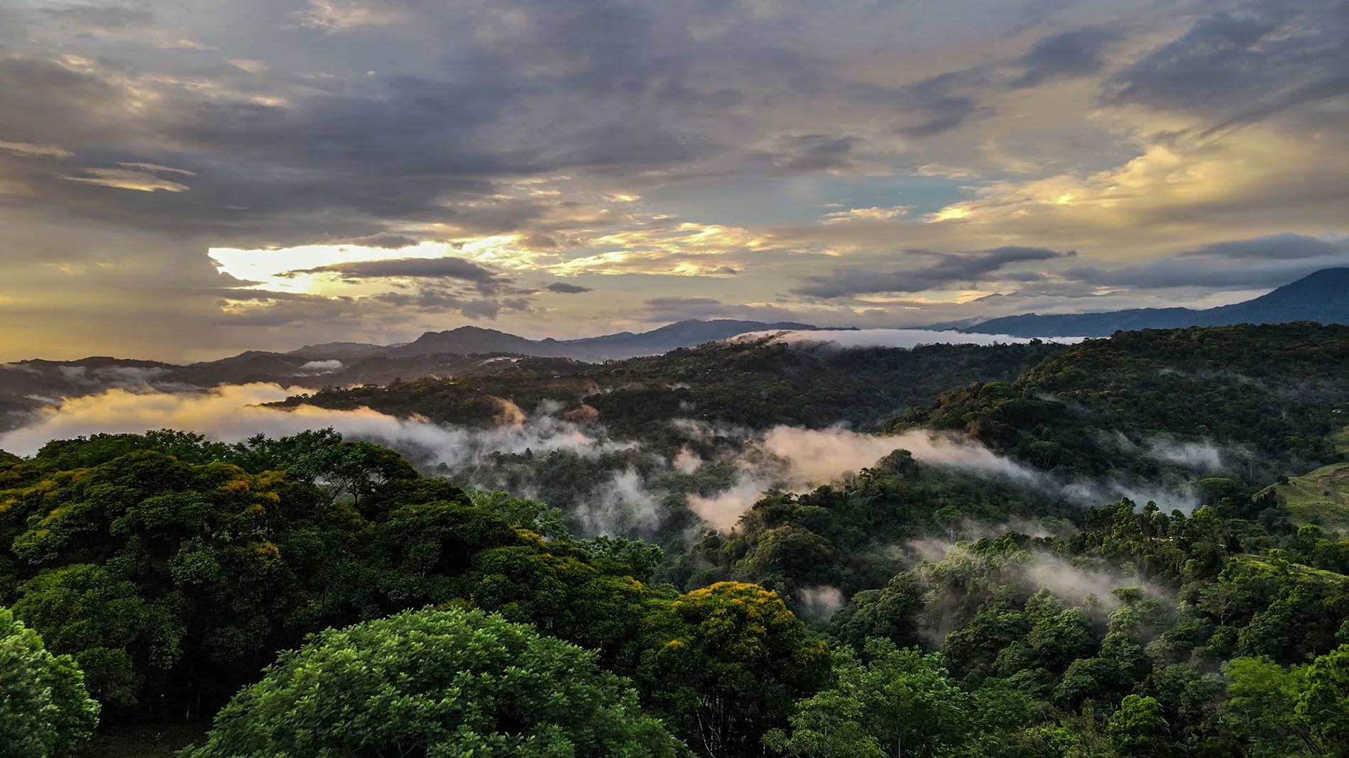 5 Notti Ritiro di Ayahuasca