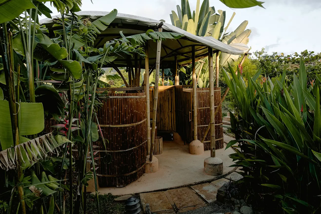 7 Notti Ritiro di Ayahuasca