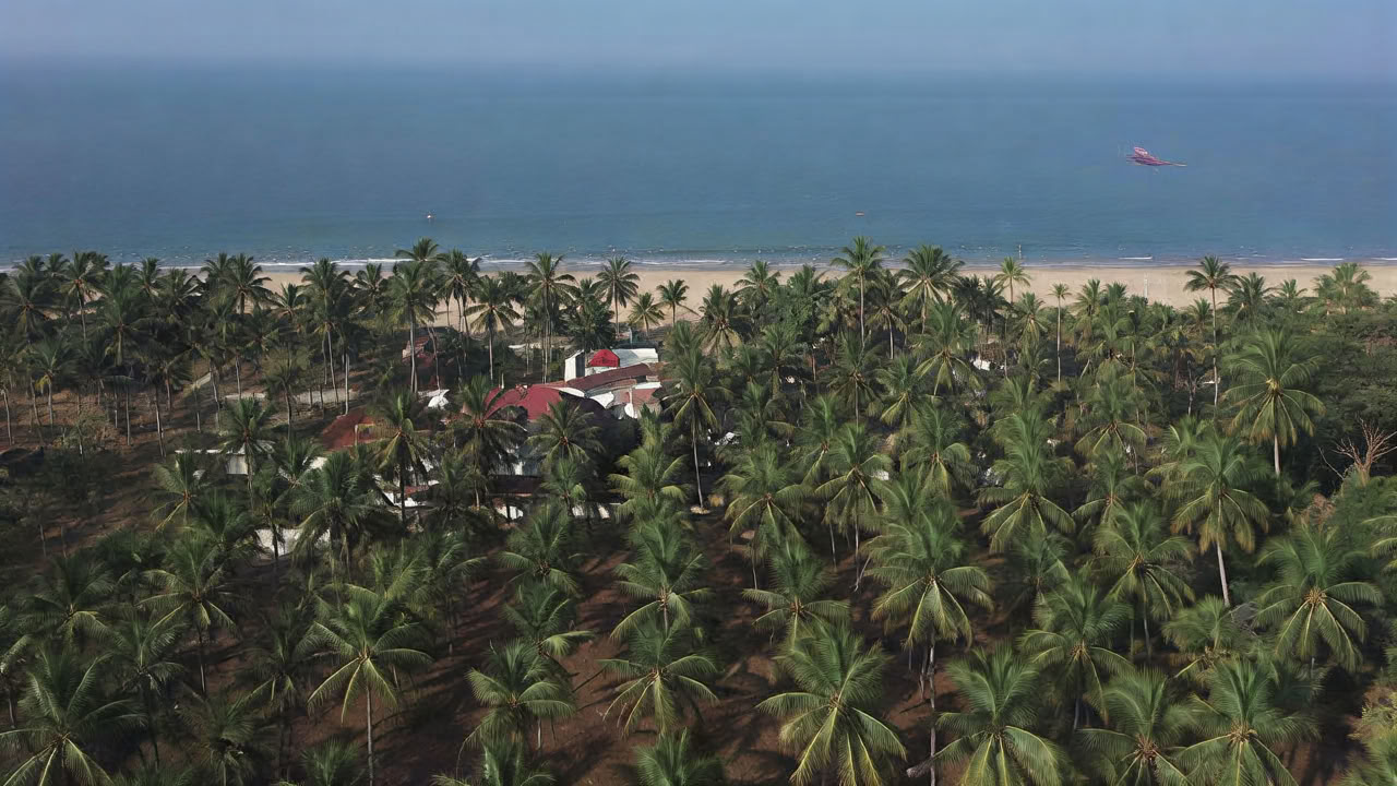 Samshuddhi - Pacchetto Detox Ayurveda