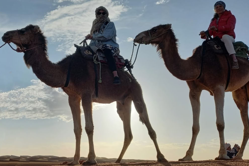 La Voce del Deserto