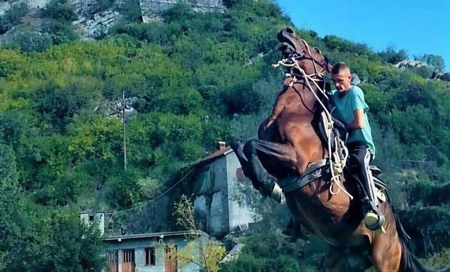 Tour privato del monastero del Montenegro