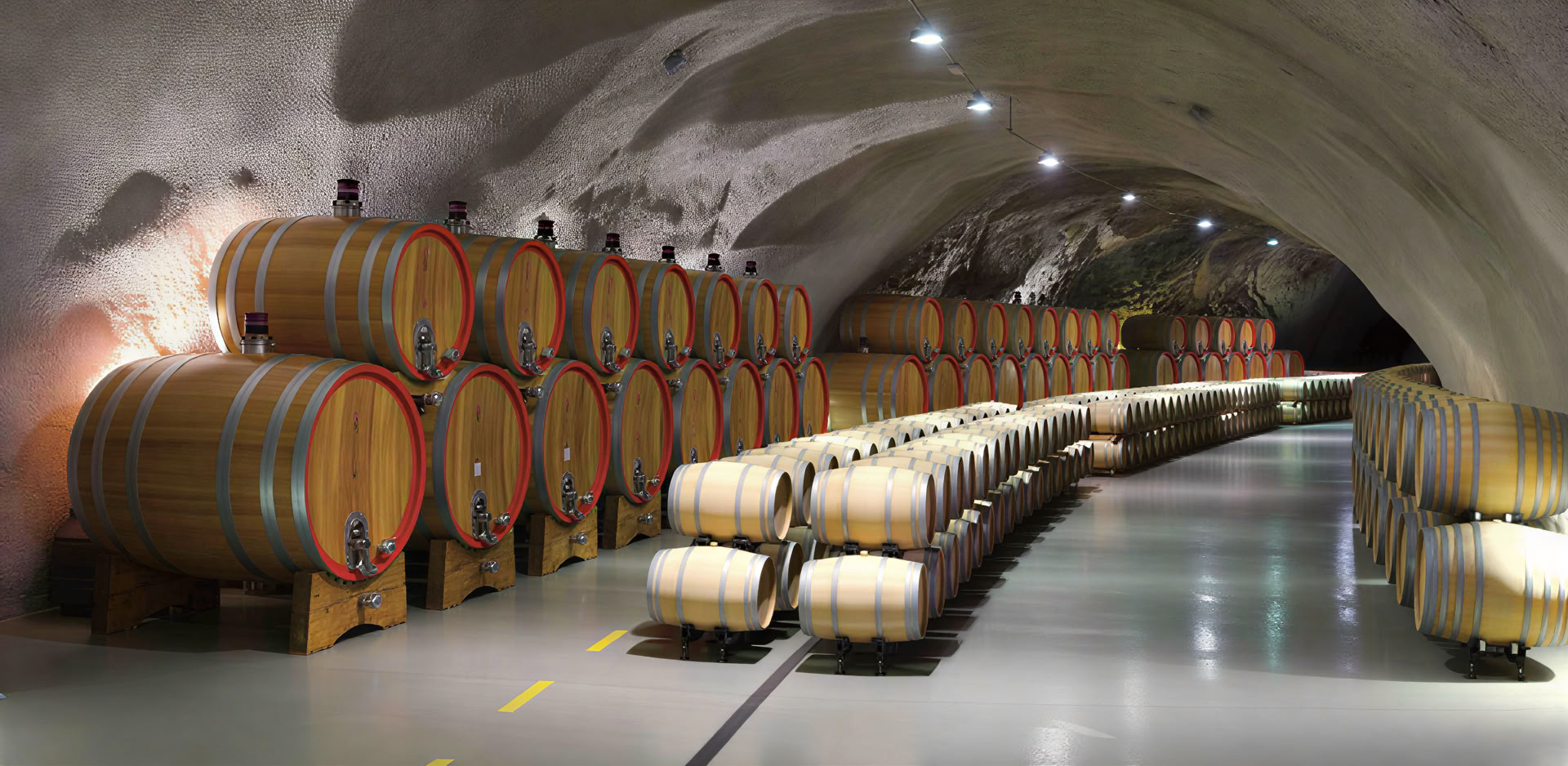 Tour del vino misto tradizionale e moderno