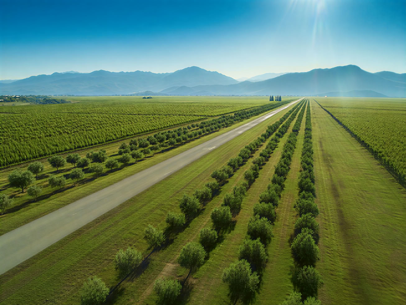 Tour del vino misto tradizionale e moderno