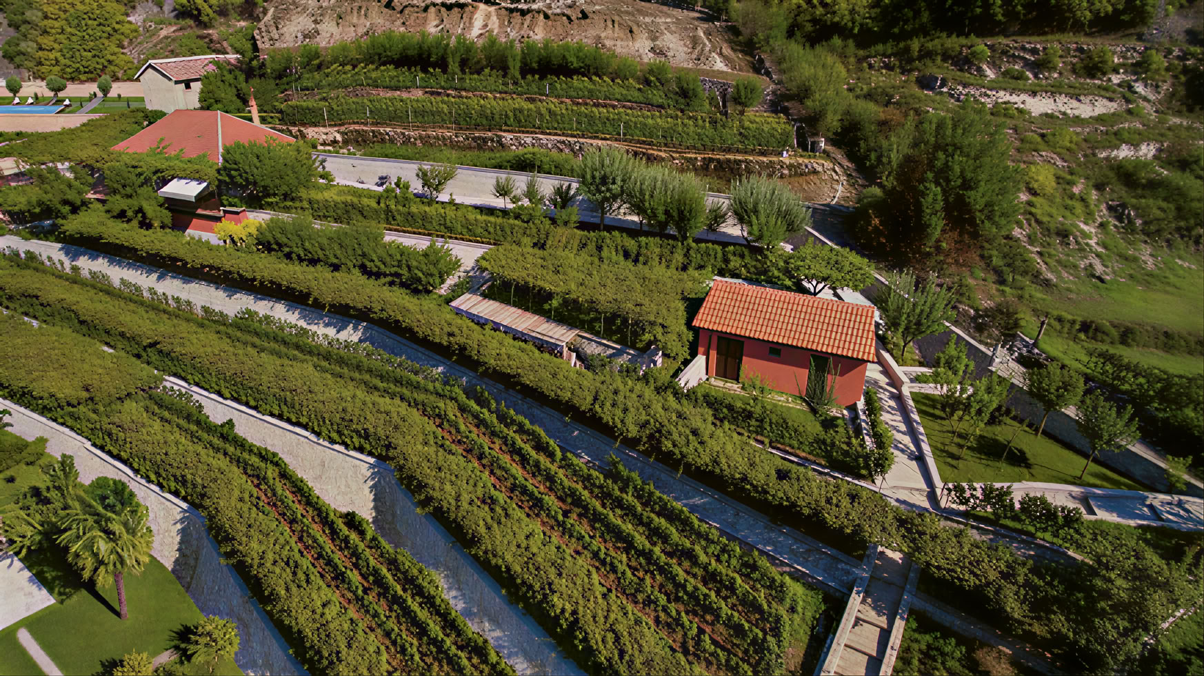 Tour della Strada del Vino di Crmnica