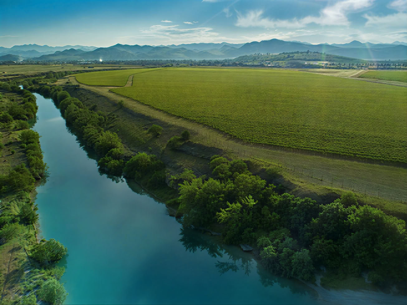 Tour della Strada del Vino del Montenegro