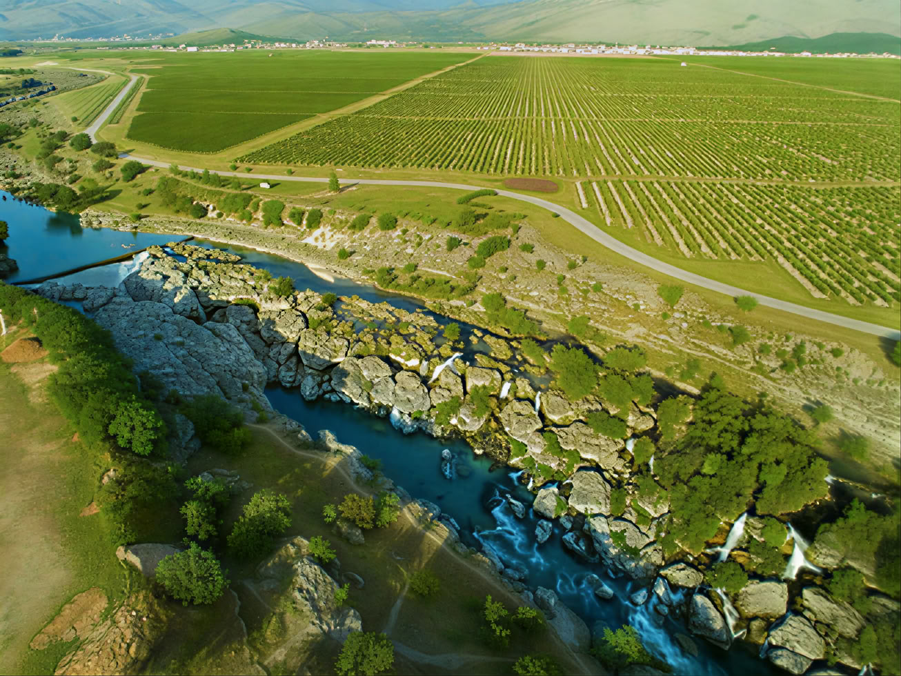 Tour della Strada del Vino del Montenegro