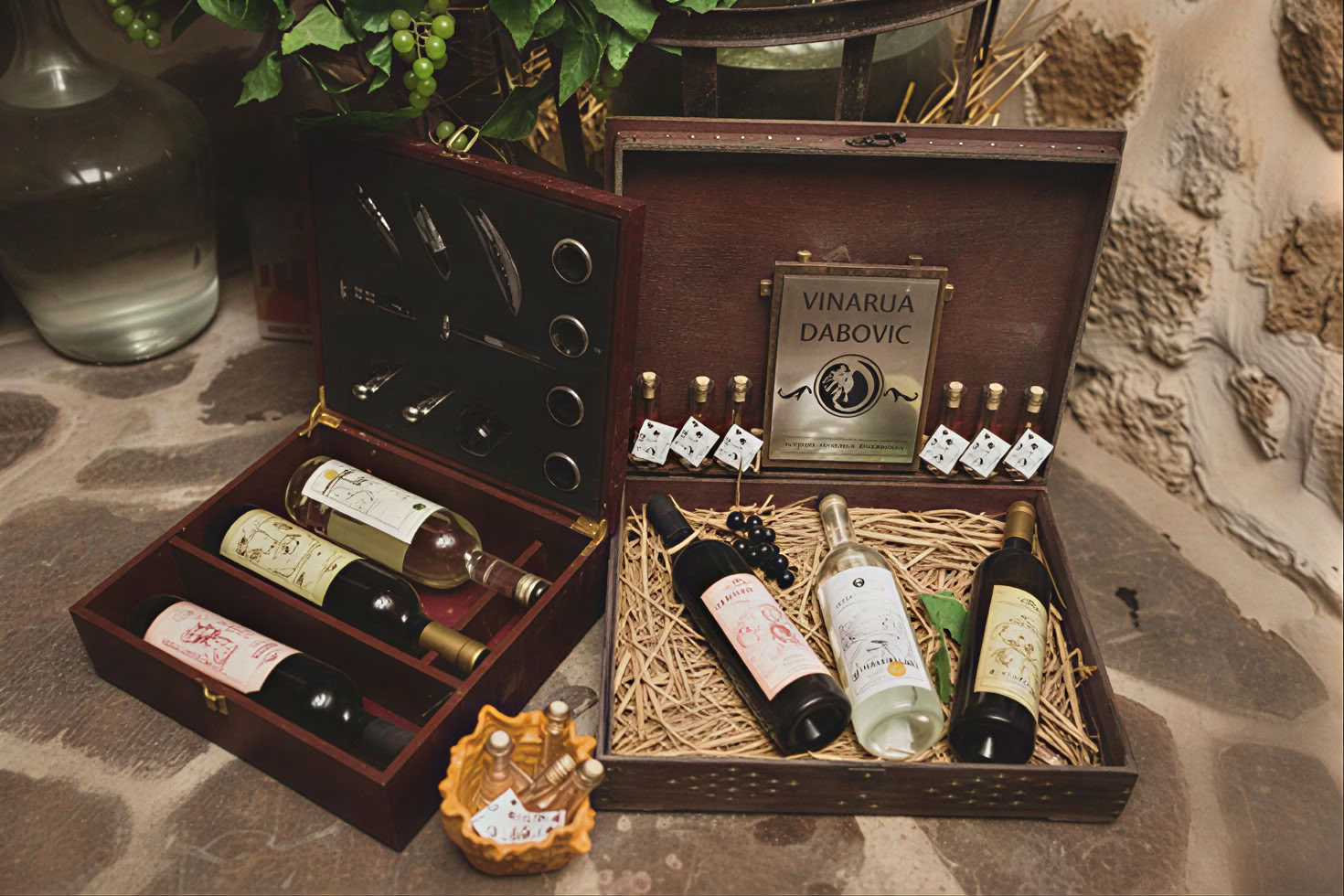 Tour della Strada del Vino del Montenegro