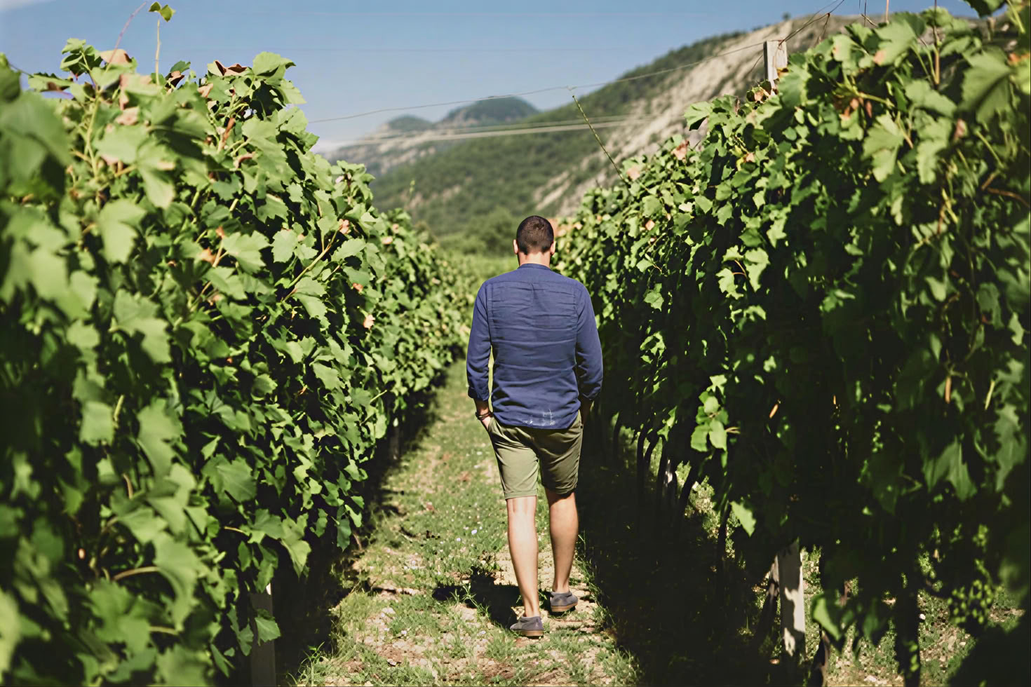 Tour della Strada del Vino del Montenegro