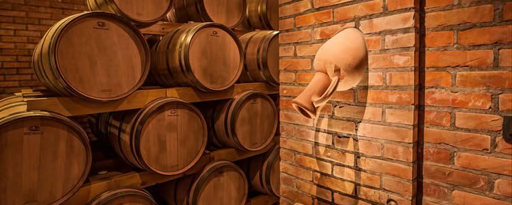 Tour della Strada del Vino del Montenegro