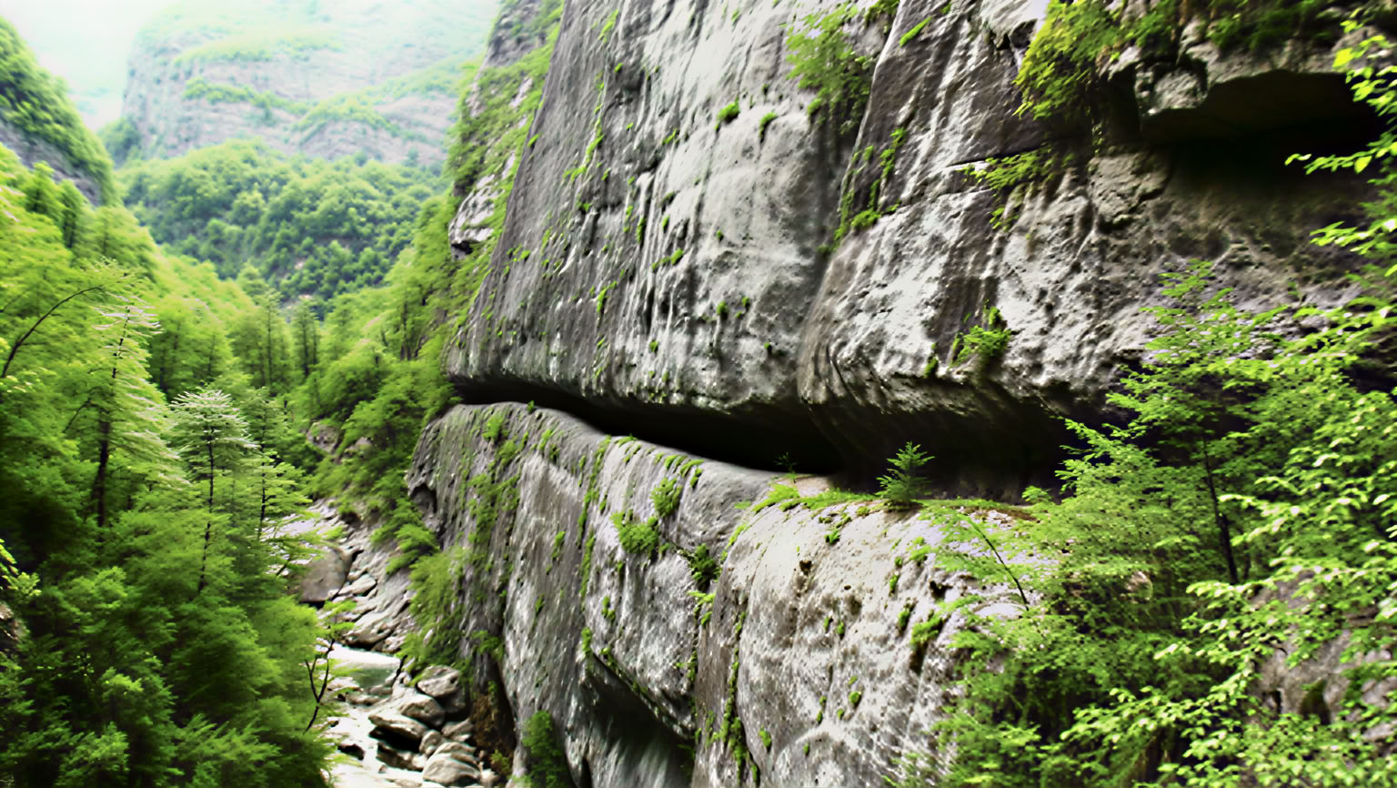 Escursione privata nel Canyon di Mrtvica