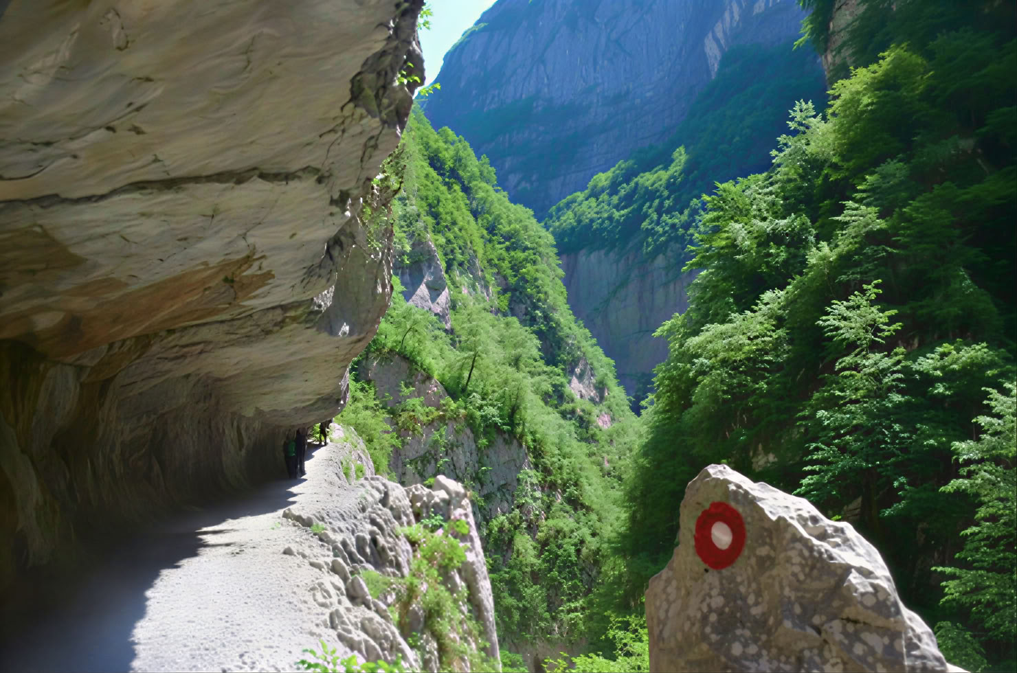 Escursione privata nel Canyon di Mrtvica