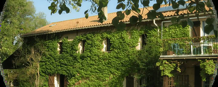 Workshop nel Sud della Francia