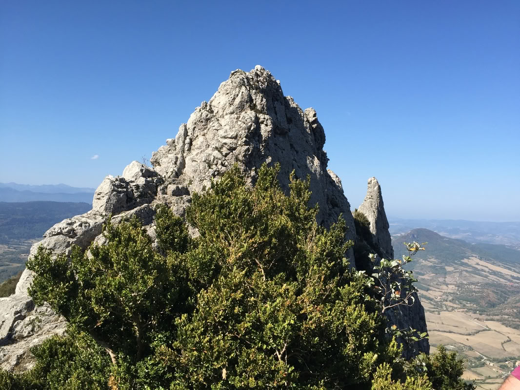Programma Olistico per il Benessere Mentale