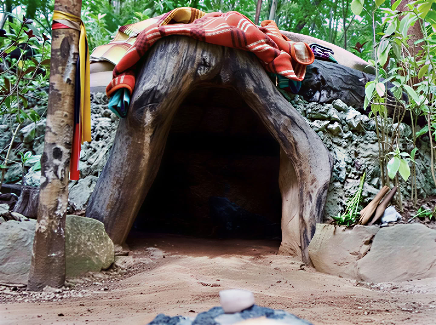 Ritiro di Ayahuasca, Messico