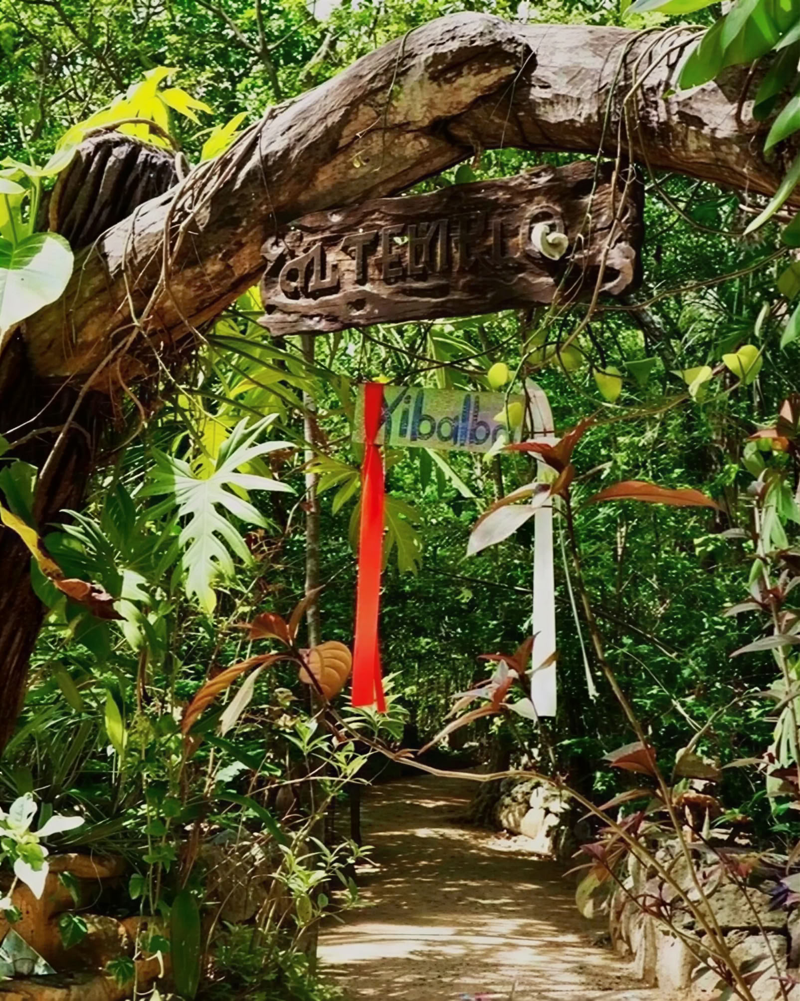 Ritiro di Ayahuasca, Messico