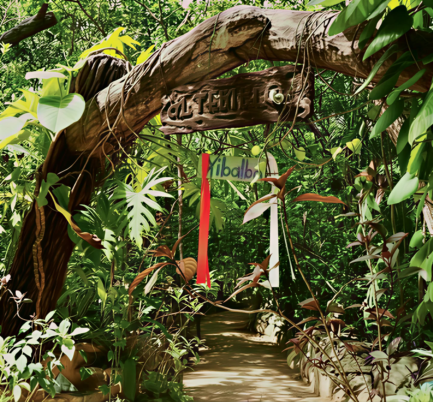 Ritiro di Ayahuasca, Messico